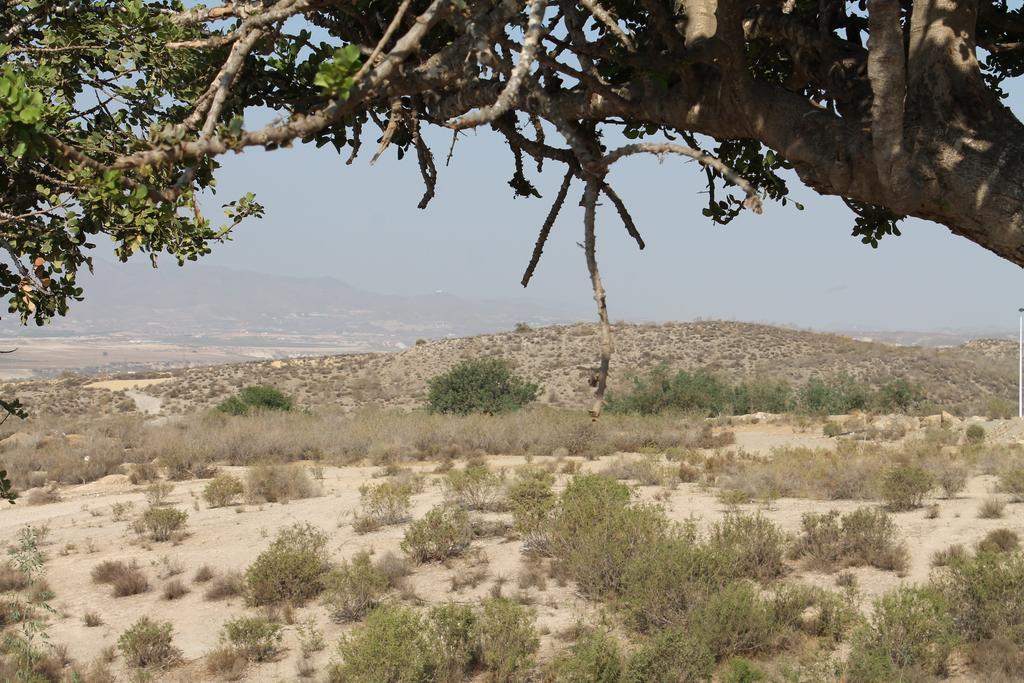 Casa Alegria Mazarron Villa Kültér fotó